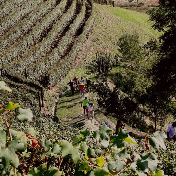 Trekking nel Roero